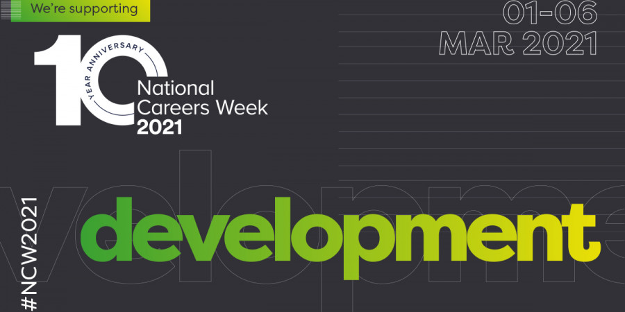 National Careers weeks web developer graphic